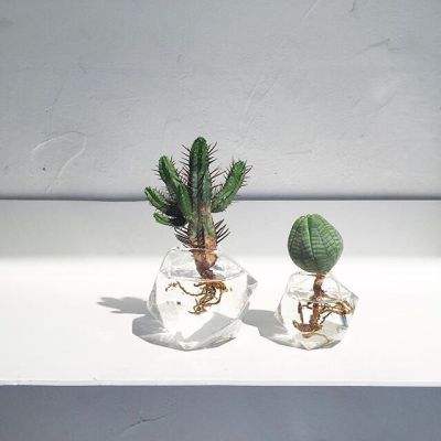 爱体育官方网站手机app下载