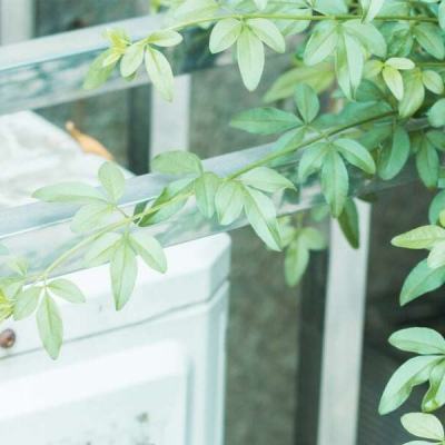 江南app下载手机版