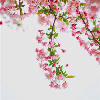 万博max体育注册